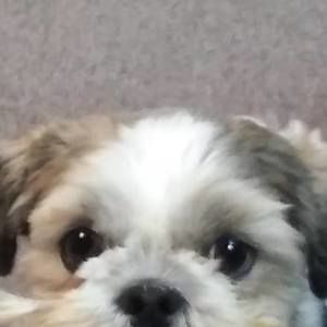 Meet your Posher, Lona